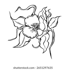 linear flower vector for outline decor coloring