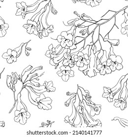 Lineare Blumen von Jacaranda, schwarz auf weißem Hintergrund. Handgezeichnete Elemente. Elegante, florale Vektorgrafik nahtlos Muster für die Verpackung von Textil-Tapeten Gewebe.