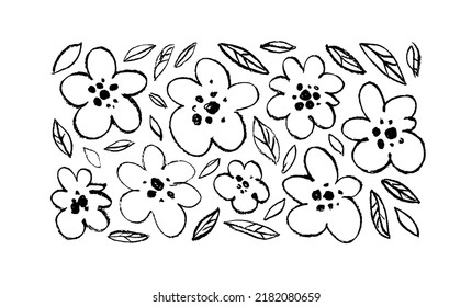 Flores lineales y hojas dibujadas con lápiz de carbón vegetal. Colección vectorial de camomila, margarita o adormidera dibujada a mano. Dibujo botánico estilo clip arts. Elementos pintados de tinta de estilo ondulado para el diseño