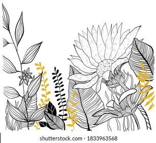flores lineales sobre fondo blanco