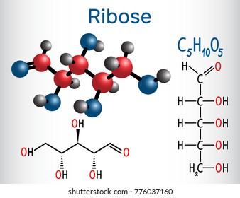 Linear form (acyclic) of ribose molecule, it is a pentose monosaccharide (simple sugar), which has all the hydroxyl groups on the same side. Structural chemical formula and molecule model