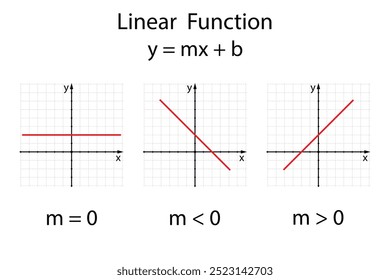 Linear Function on the white background. Education. Graphic diagram. School. Formula. Vector illustration.