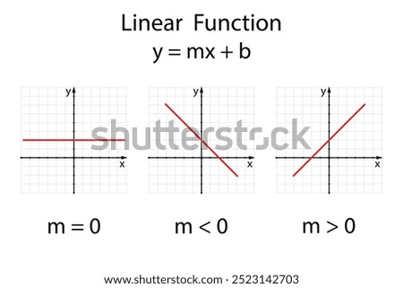 Linear Function on the white background. Education. Graphic diagram. School. Formula. Vector illustration.