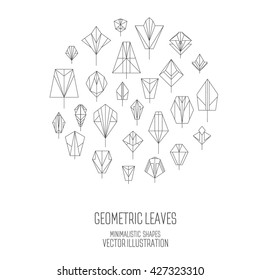 Linear geometric leaves of trees and plants that make up the circle. Set of leaves . Vector object. Abstract leaves