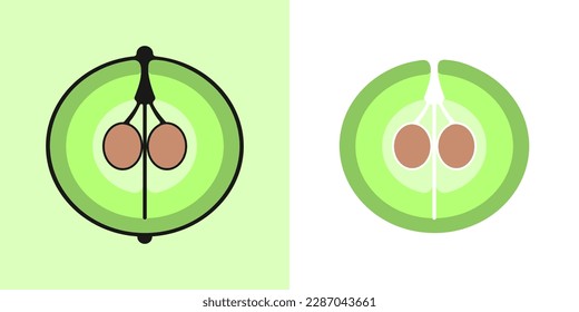 Linear grape icon, outline vector sign, linear icon, two versions in color