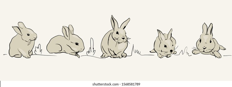   Linear graphic image of cute beige rabbits. Seth vector illustration. Modern design. Isolated on a white background.