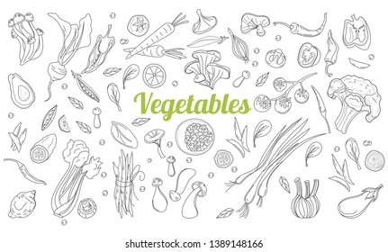 Linear graphic. Vegetables background. Scandinavian style. Healthy food. Vector illustration. Hand drawn fruits and vegetables doodle set.