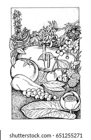 Linear graphic.Still-life from flowers, fruits, vegetables, berries