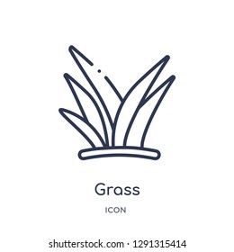 Linear grass icon from Autumn outline collection. Thin line grass vector isolated on white background. 