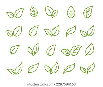 Linear green leaves and branches silhouettes set icons