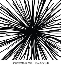 Linear Hand Drawing Curved Light Rays, Sunburst and Rays of Sun, Light Rays Sunburst on White Background, Radiating From the Center of Thin Beams,  Abstract Explosion, Star Speed Motion Lines, Flower