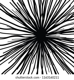 Linear Hand Drawing Curved Light Rays, Sunburst and Rays of Sun, Light Rays Sunburst on White Background, Radiating From the Center of Thin Beams,  Abstract Explosion, Star Speed Motion Lines, Flower