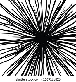Linear Hand Drawing Curved Light Rays, Sunburst and Rays of Sun, Light Rays Sunburst on White Background, Radiating From the Center of Thin Beams,  Abstract Explosion, Star Speed Motion Lines, Flower