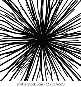 Linear Hand Drawing Curved Light Rays, Sunburst and Rays of Sun, Light Rays Sunburst on White Background, Radiating From the Center of Thin Beams,  Abstract Explosion, Star Speed Motion Lines, Flower