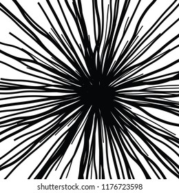 Linear Hand Drawing Curved Light Rays, Sunburst and Rays of Sun, Light Rays Sunburst on White Background, Radiating From the Center of Thin Beams,  Abstract Explosion, Star Speed Motion Lines, Flower