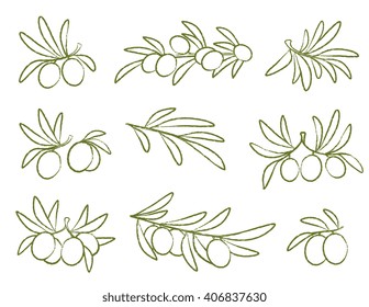 linear hand drawing olives icon set on white background