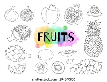 Linear hand drawn elements. Ananas, pomegranates, artichokes, figs, grapes, lemon, kiwi. Fruits. Vitamins.