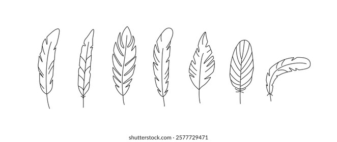 Linear hand drawn feathers set. Plumelet, quill. Line art, sketch, outline drawing. Vector isolated on white.