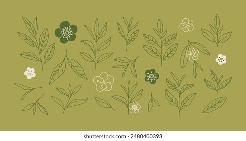 Linear hand-drawn tea leaves and flowers. Line art sketch of tea branches. Green and black tea. Logo, icon, doodle. Botanicals. Plant. Nature. 