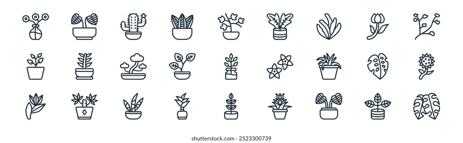 Vector de la línea delgada Calathea, Philodendron, cactus, higo llorón, planta, árbol del dragón, planta de goma, monstera deliciosa iconos adecuados para App y Sitios web UI diseños