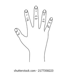 Linear the human hand from the front. Black and white linear silhouette.