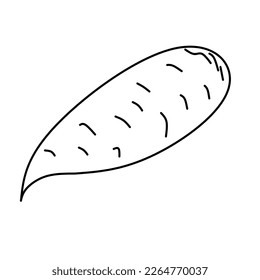 Linear icon carrot. Agricultural crops. Farm vegetables. vegan food. Thin line illustration. Contour symbol. Line drawing isolated vector.