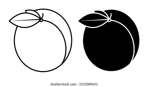 linear icon delicious juicy apricot with leaves. Summer fruits on table. Simple black and white vector isolated on white background