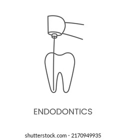 Endodoncia de icono lineal. Ilustración vectorial para clínica dental