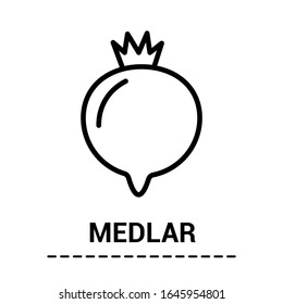 Lineare Ikone der exotischen Früchte gewöhnlichen Mehl oder Mespilus germanica. Silhouettensymbol. Erkunden Sie lokale Spezialitäten. Dünne Illustration. Vektorillustration einzeln umrissen. Bearbeitbarer Hub