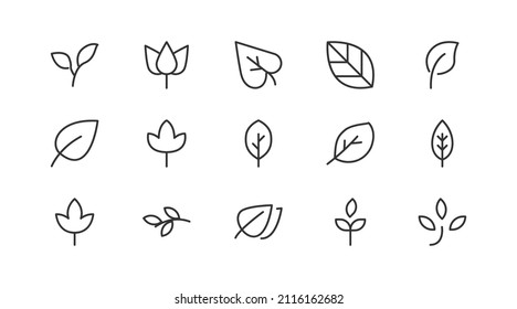 Linear icon set of leaves. Editable vector signs. Trendy outline pictograms. Premium pack of leaves thin line icons. 