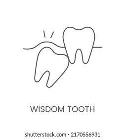 Linear icon wisdom tooth. Vector illustration for dental clinic