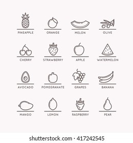 Linear icons of fruits. Silhouette images of products and food. Vector illustration.