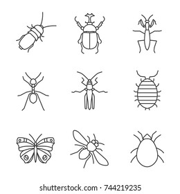 linear icons set. Darkling beetle, hercules bug, mantis, ant, grasshopper, woodlouse, butterfly, honey bee, mite. Thin line contour symbols. Isolated vector outline illustrations