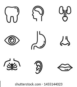 Linear icons set of organ such as kidney,nose,ear,eye
