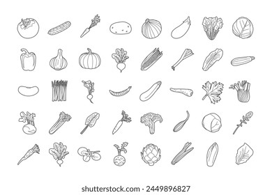 Linear icons of various vegetables. Black and white vector illustration set.