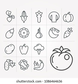 Linear icons of vegetables