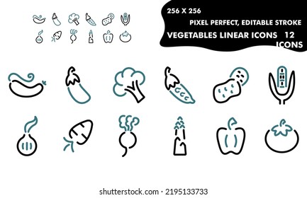 lineare Symbole von Gemüse. Zweifarbige Linien, offene Kontur.256x256 Pixel perfekt, bearbeitbarer Strich, 12 Symbole.