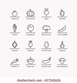 Linear icons of vegetables. Silhouette images of products and food. Vector illustration.