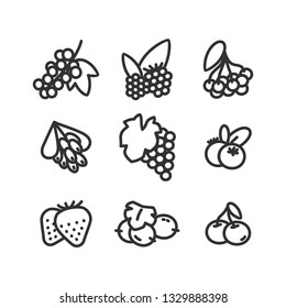 Linear illustration of berries