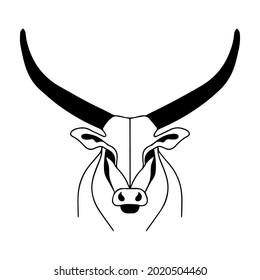 Linear illustration of a bull. Horned animal logo. Vector illustration of a buffalo.