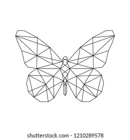 Linear illustration of a butterfly