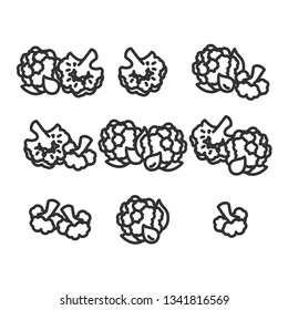 Linear illustration of cauliflower