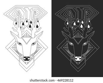 Linear illustration of deer head. Vector line illustration.