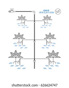 Linear illustration of the drip irrigation system.