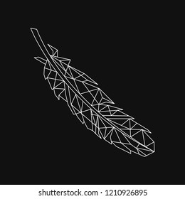 Linear illustration of a feather