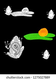 Linear illustration of frogs and lotus, lily flowers. Concept for boutique, jewelry, fashion, flyer, banner design.
