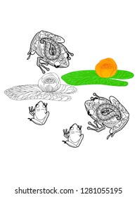 Linear illustration of frogs and lotus, lily flowers. Concept for boutique, jewelry, fashion, flyer, banner design.