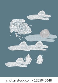 Linear illustration of frogs and lotus, lily flowers. Concept for boutique, jewelry, fashion, flyer, banner design.