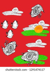 Linear illustration of frogs and lotus, lily flowers. Concept for boutique, jewelry, fashion, flyer, banner design.