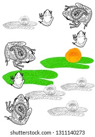 Linear illustration of frogs and lotus, lily flowers. Concept for boutique, jewelry, fashion, flyer, banner design.